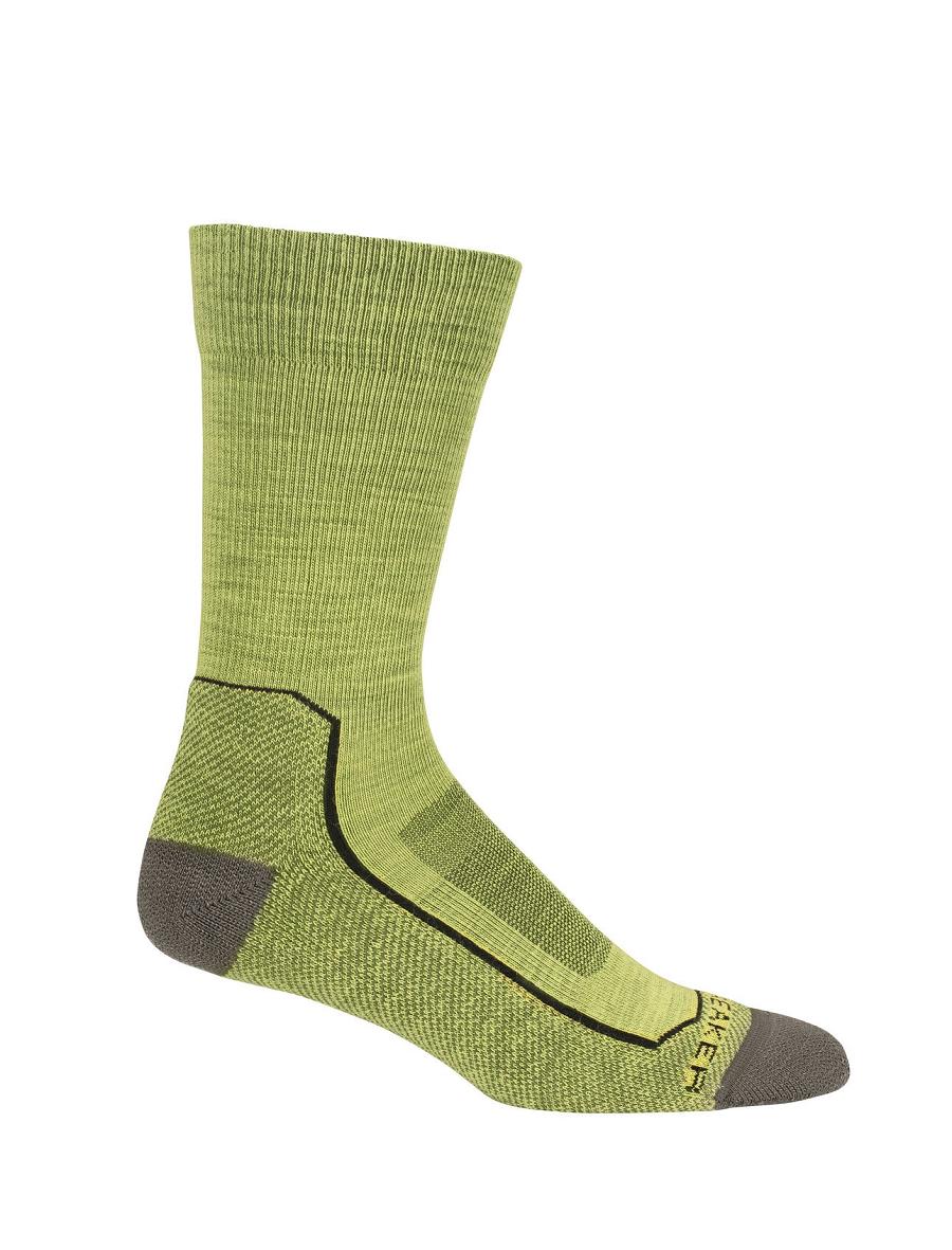 Shine / Loden Icebreaker Merino Hike+ Light Crew Men's Socks | AU 1040HAPK